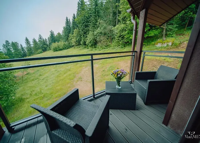 Silence Karpatia Delux Z Wanną Appartement *