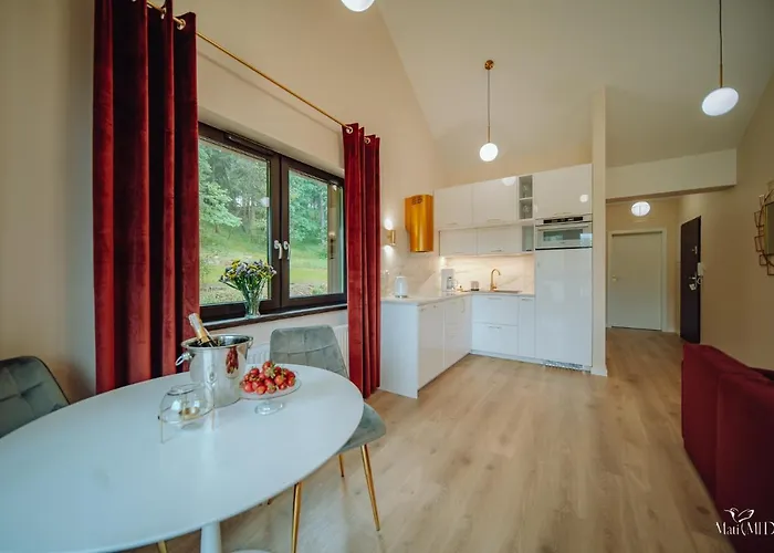 Apartament Silence Karpatia Delux Z Wanną *